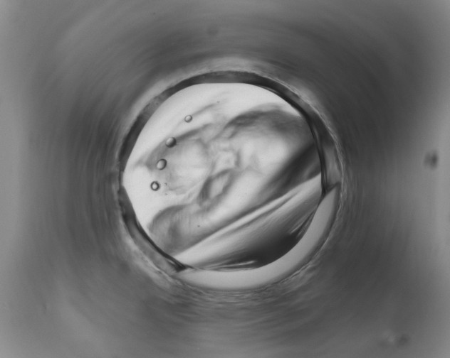 X0000111511342200908251104