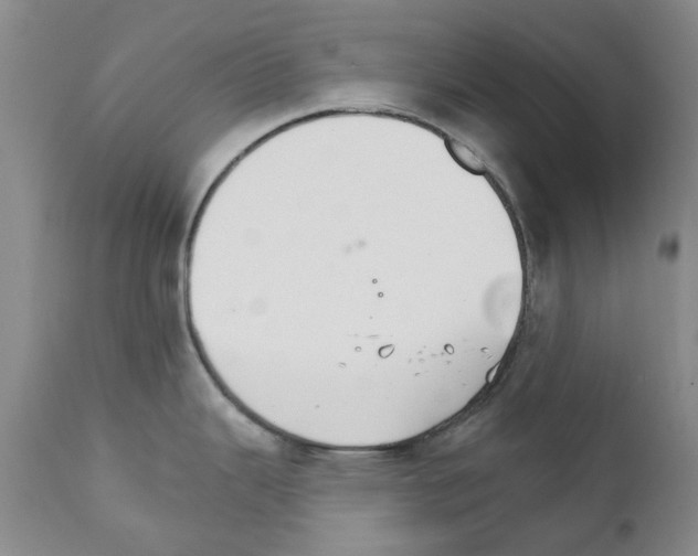 X0000111511343200908251104