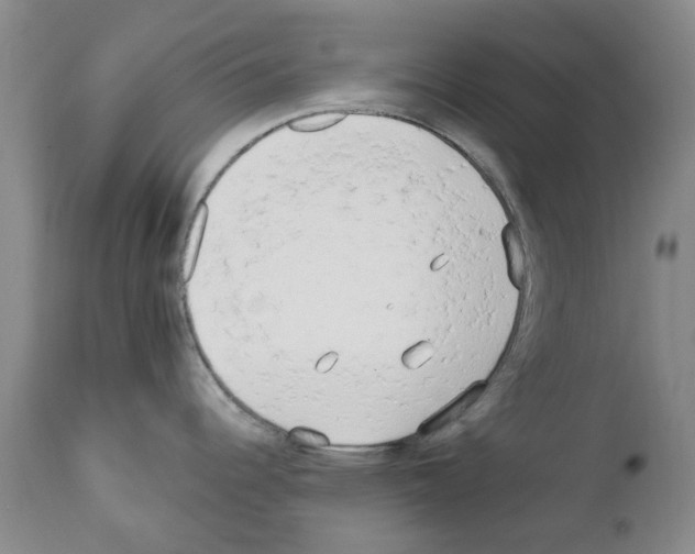 X0000111511344200908251104