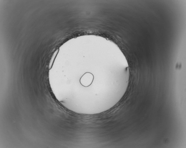 X0000111511345200908251103