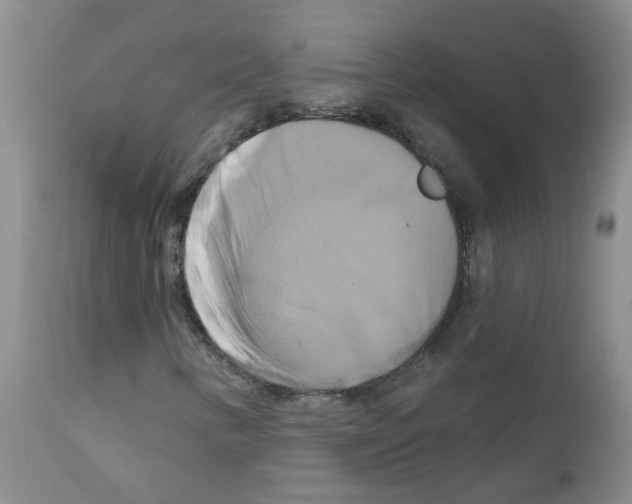 X0000111511346200908251103