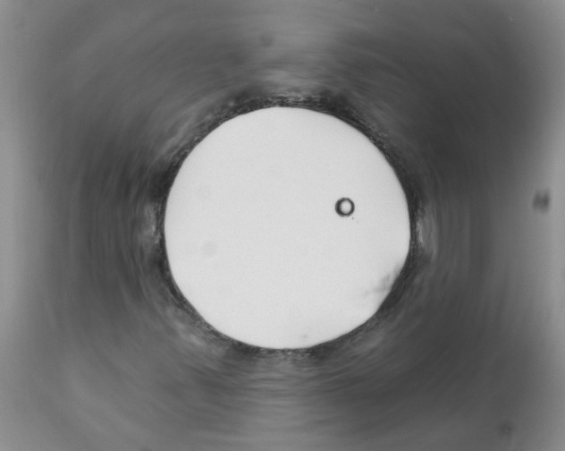 X0000111511347200908251103