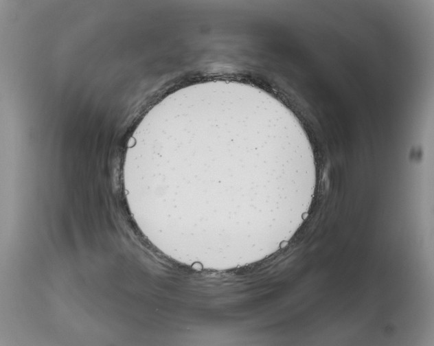X0000111511348200908251103