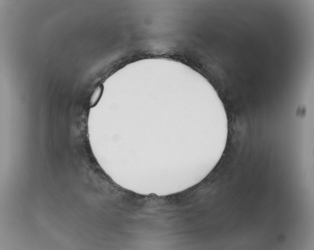 X0000111511349200908251103