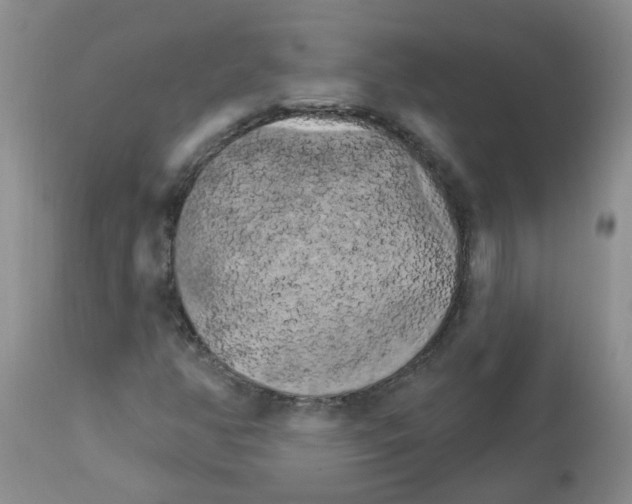 X0000111511350200908251103
