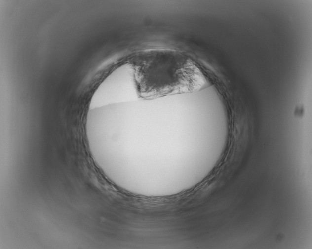 X0000111511351200908251103