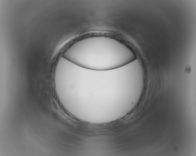 X0000111511352200908251103