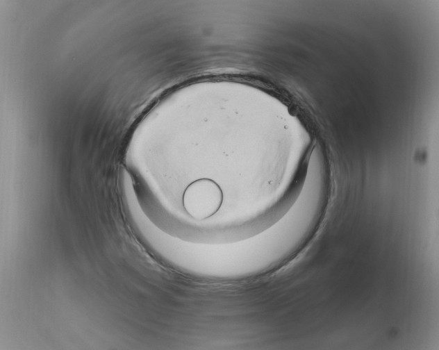 X0000111511353200908251103