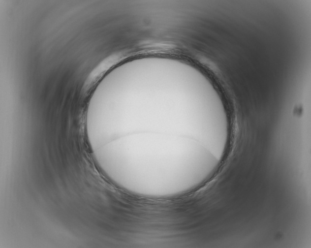 X0000111511354200908251103