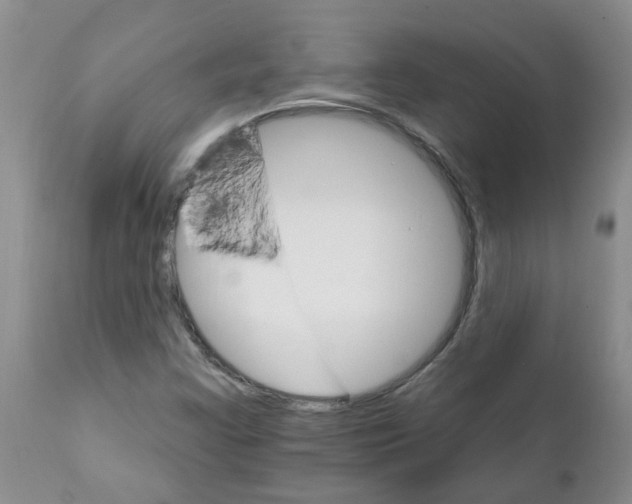 X0000111511355200908251103