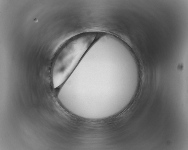 X0000111511356200908251103