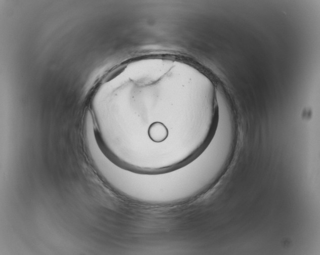 X0000111511357200908251103