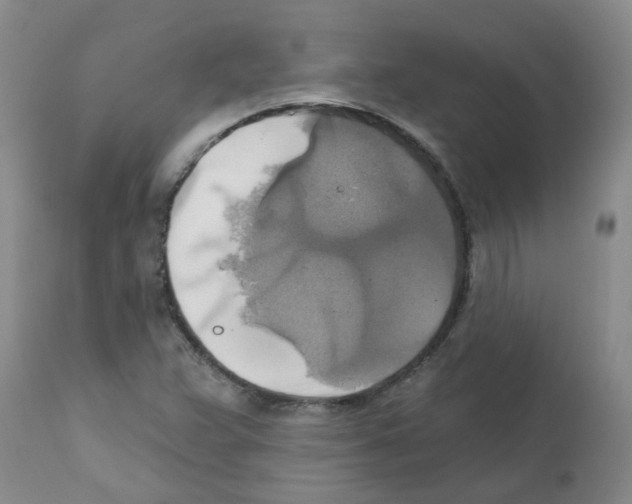 X0000111511359200908251103