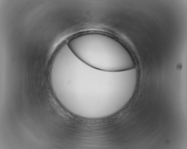 X0000111511360200908251103
