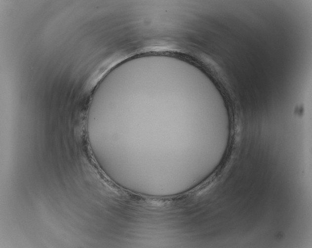 X0000111511361200908251103
