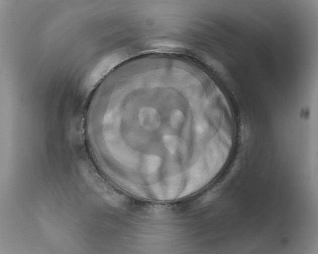 X0000111511362200908251103