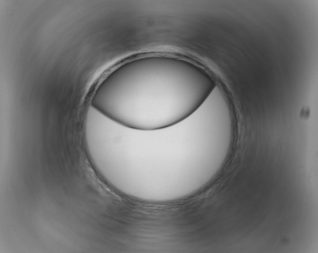 X0000111511364200908251103