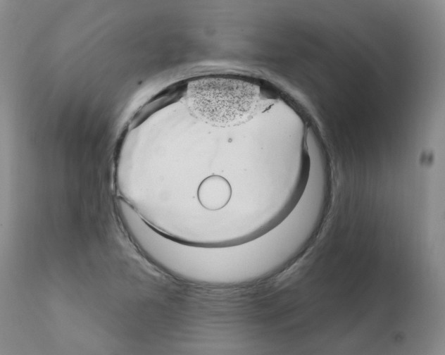 X0000111511365200908251103