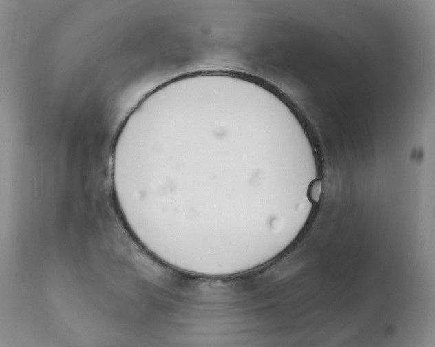 X0000111511366200908251103