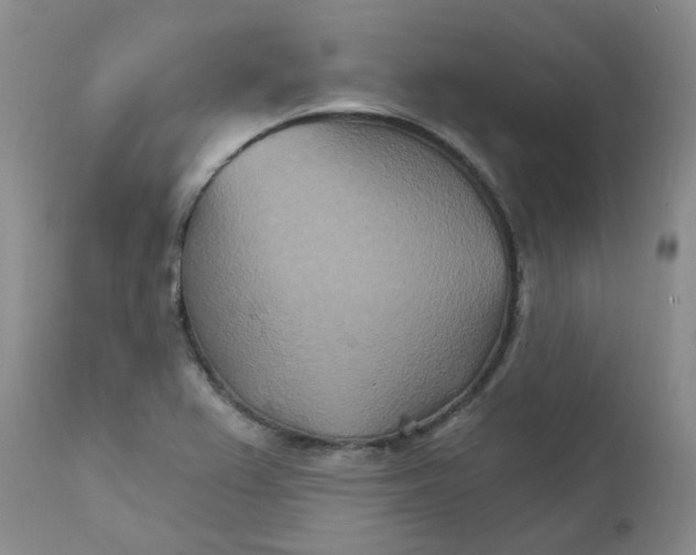 X0000111511367200908251103