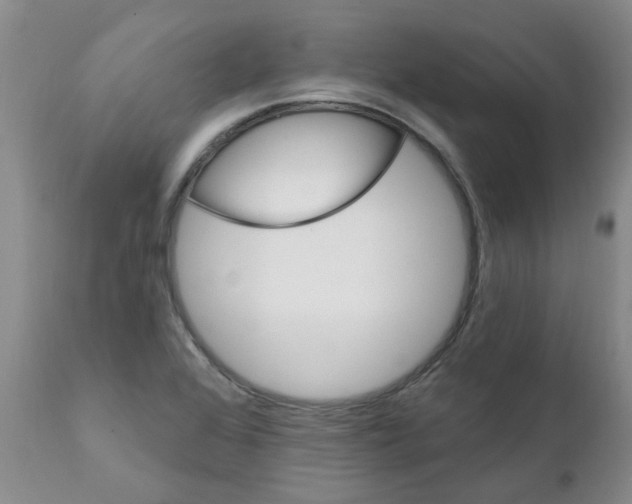X0000111511368200908251103