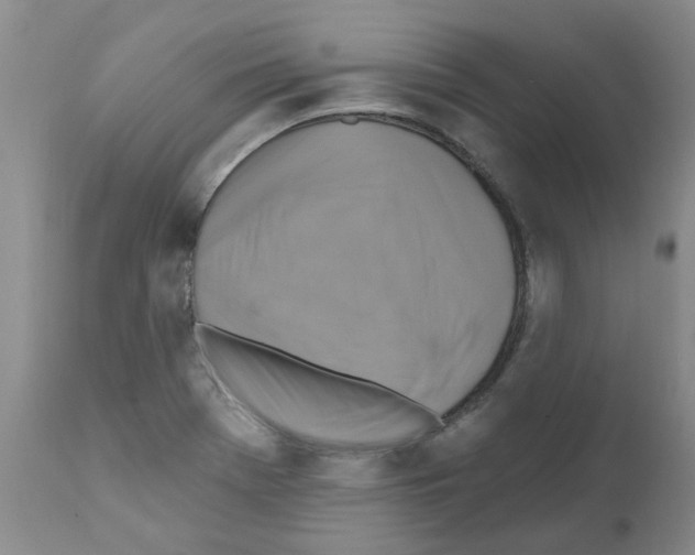 X0000111511369200908251103
