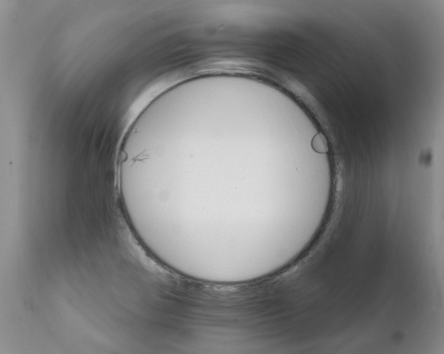 X0000111511370200908251103