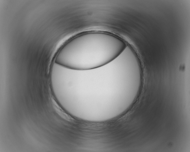 X0000111511372200908251103