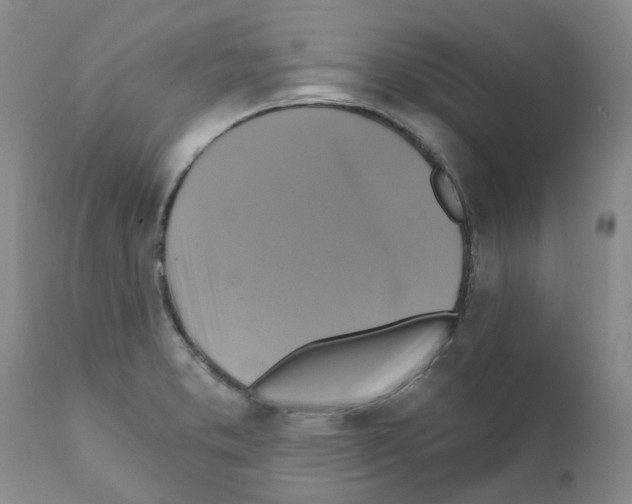X0000111511373200908251103