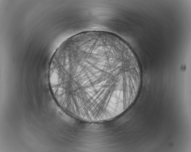 X0000111511374200908251103