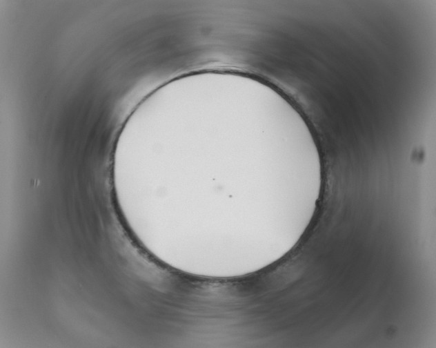 X0000111511375200908251103