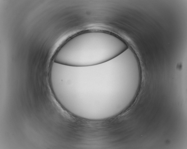 X0000111511376200908251103