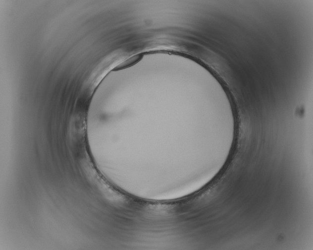 X0000111511377200908251103