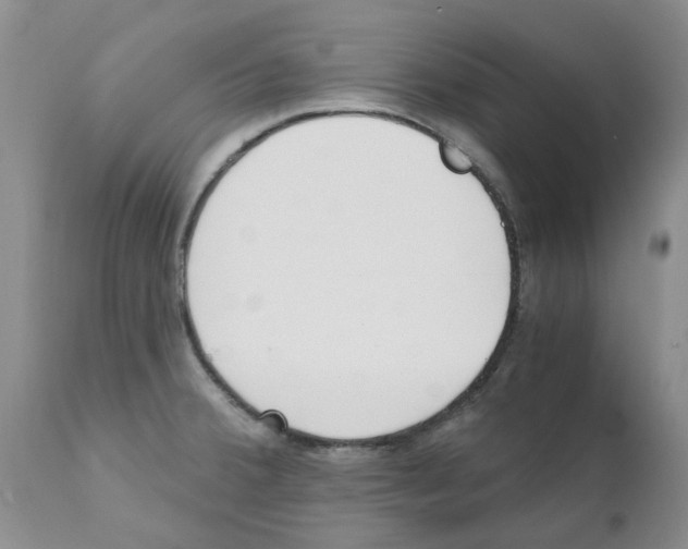 X0000111511380200908251103