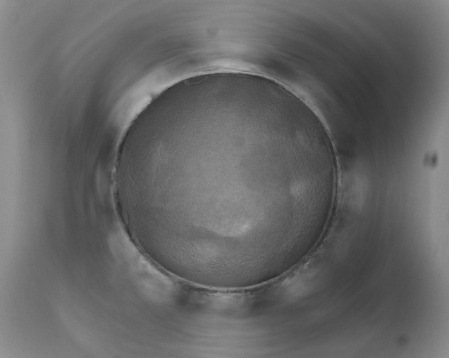 X0000111511381200908251103