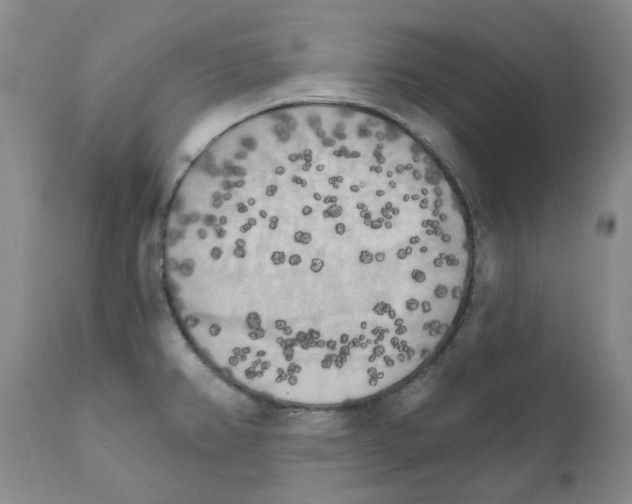X0000111511382200908251103