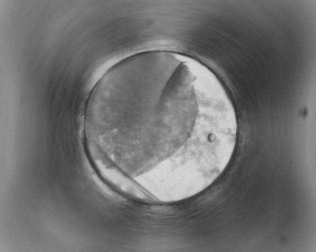 X0000111511383200908251103