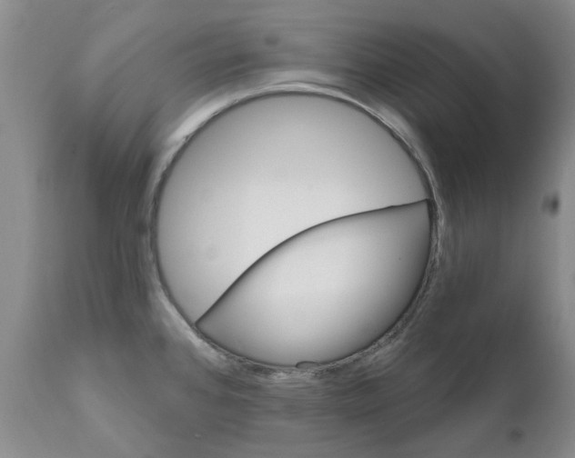X0000111511384200908251103