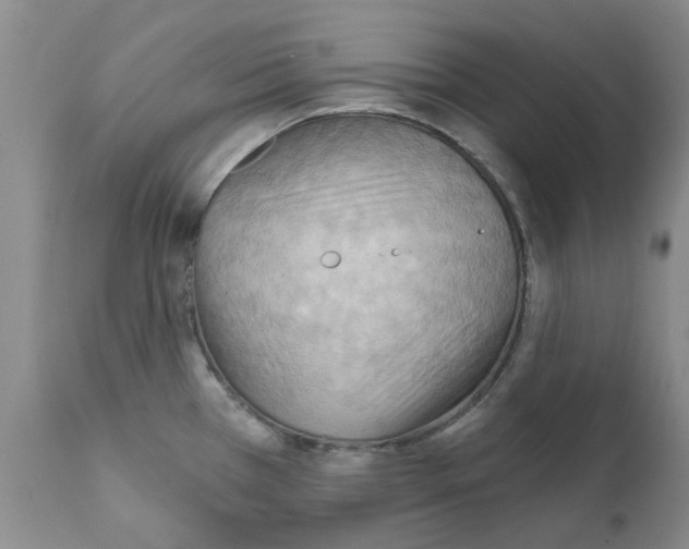 X0000111511385200908251102