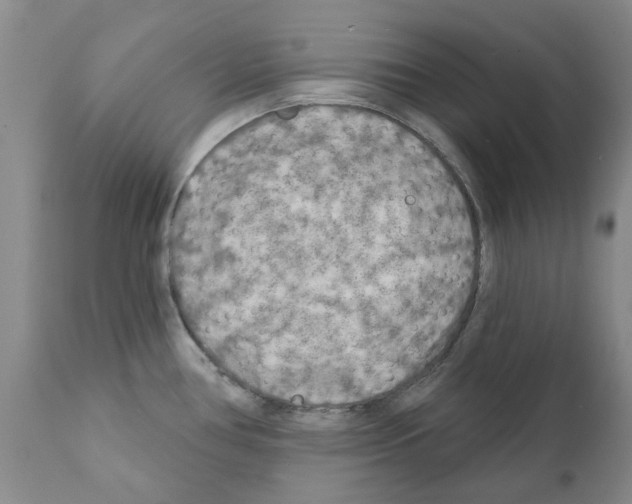 X0000111511386200908251102