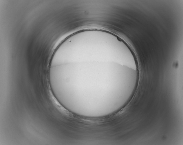 X0000111511388200908251102