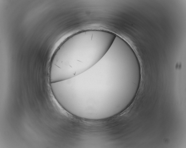 X0000111511392200908251102