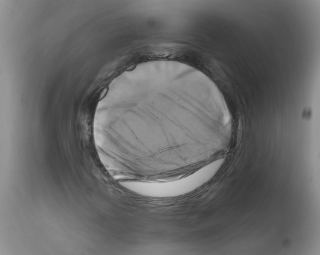 X0000111511394200908251102