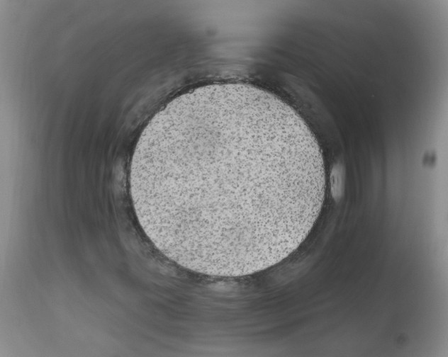 X0000111511395200908251102