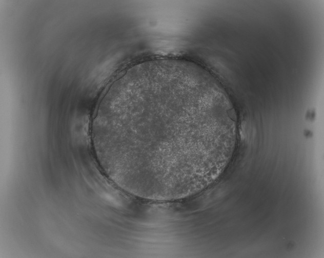 X0000111511396200908251102