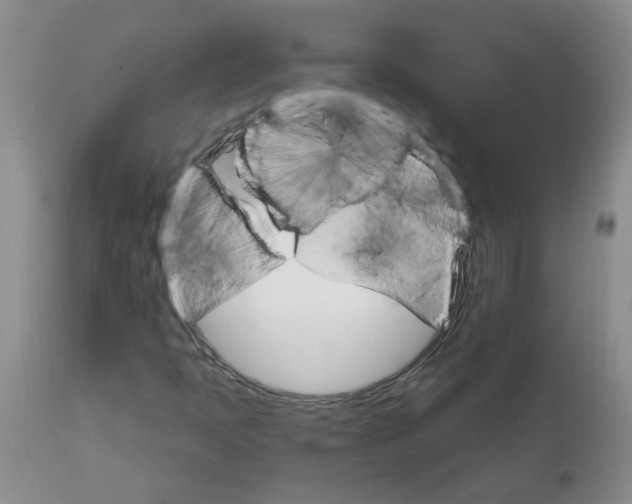 X0000111511397200908251102