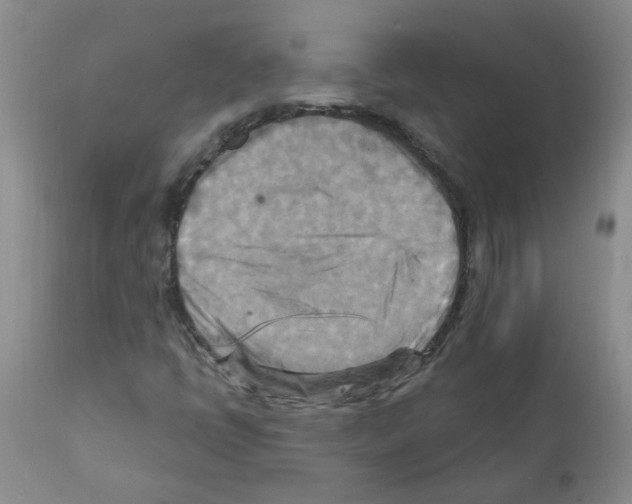 X0000111511398200908251102