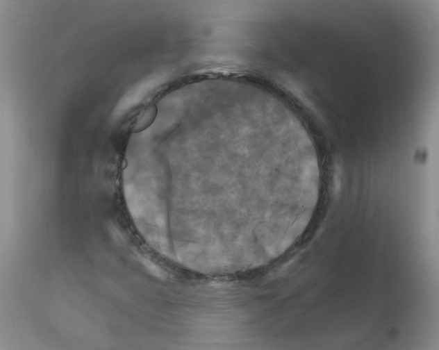 X0000111511399200908251102