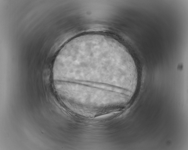 X0000111511401200908251102