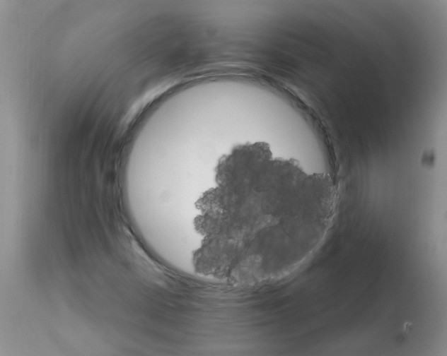 X0000111511402200908251102